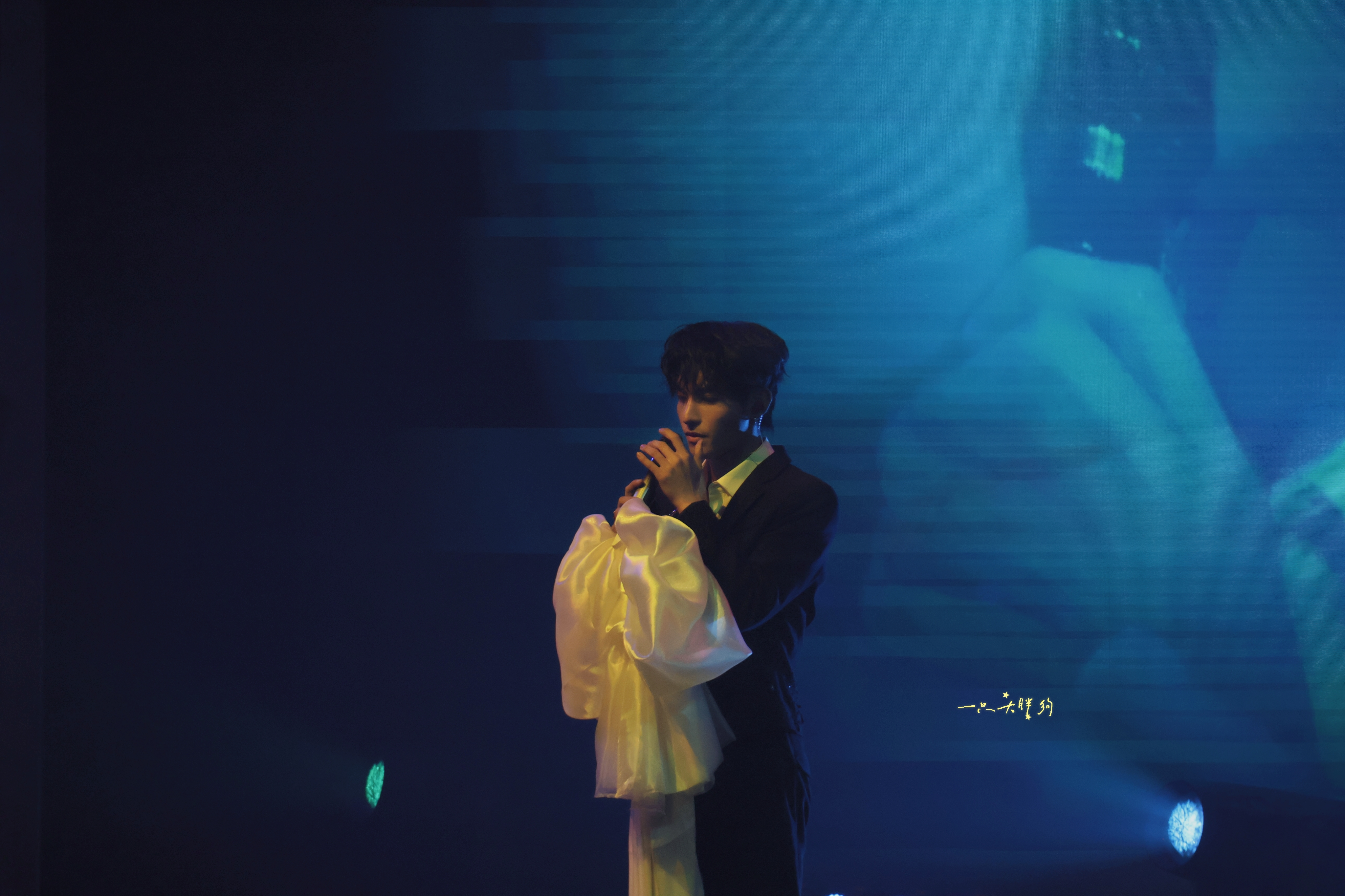 Stage photograph by 一只大胖狗