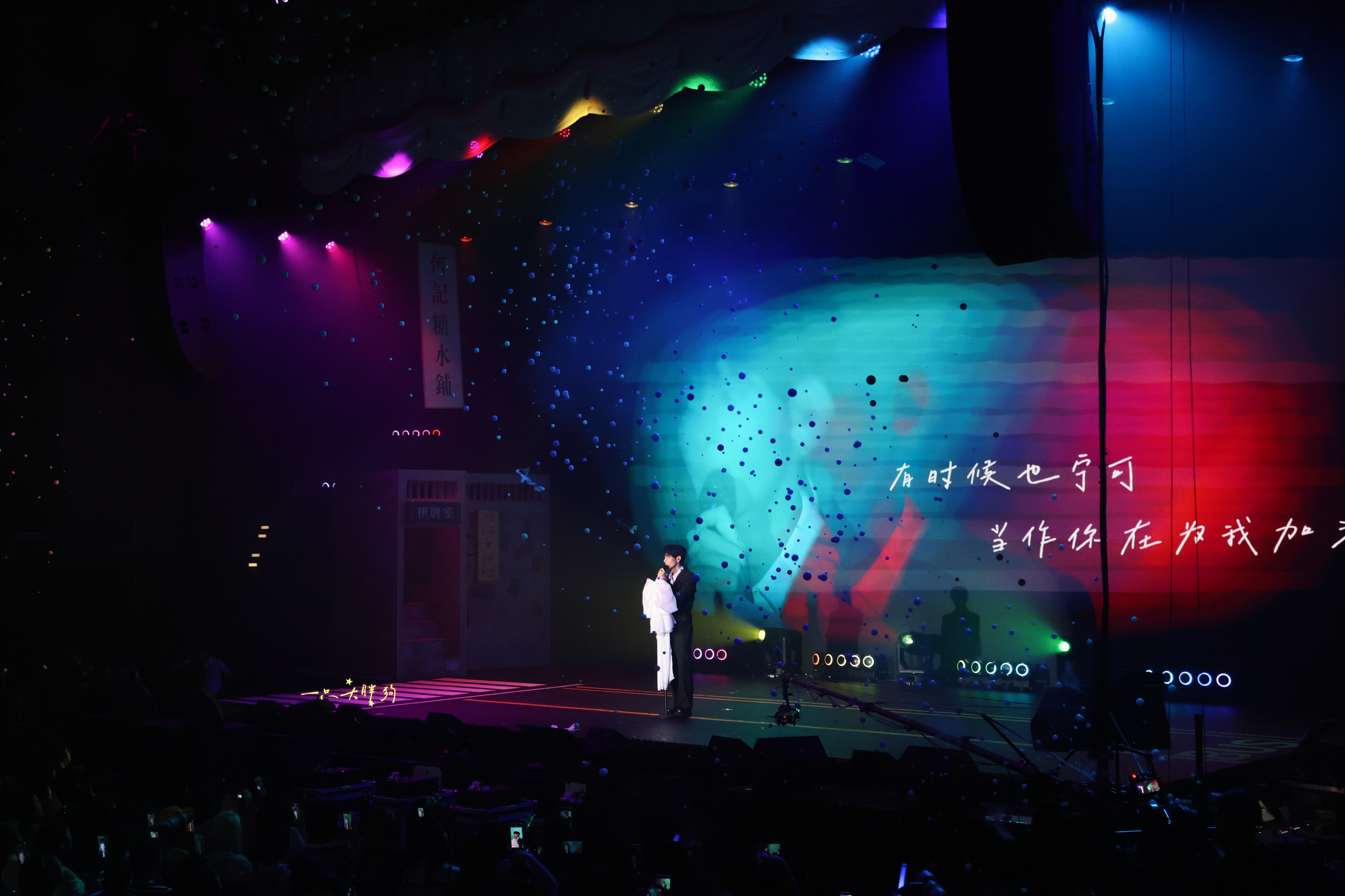 Stage photograph by 一只大胖狗